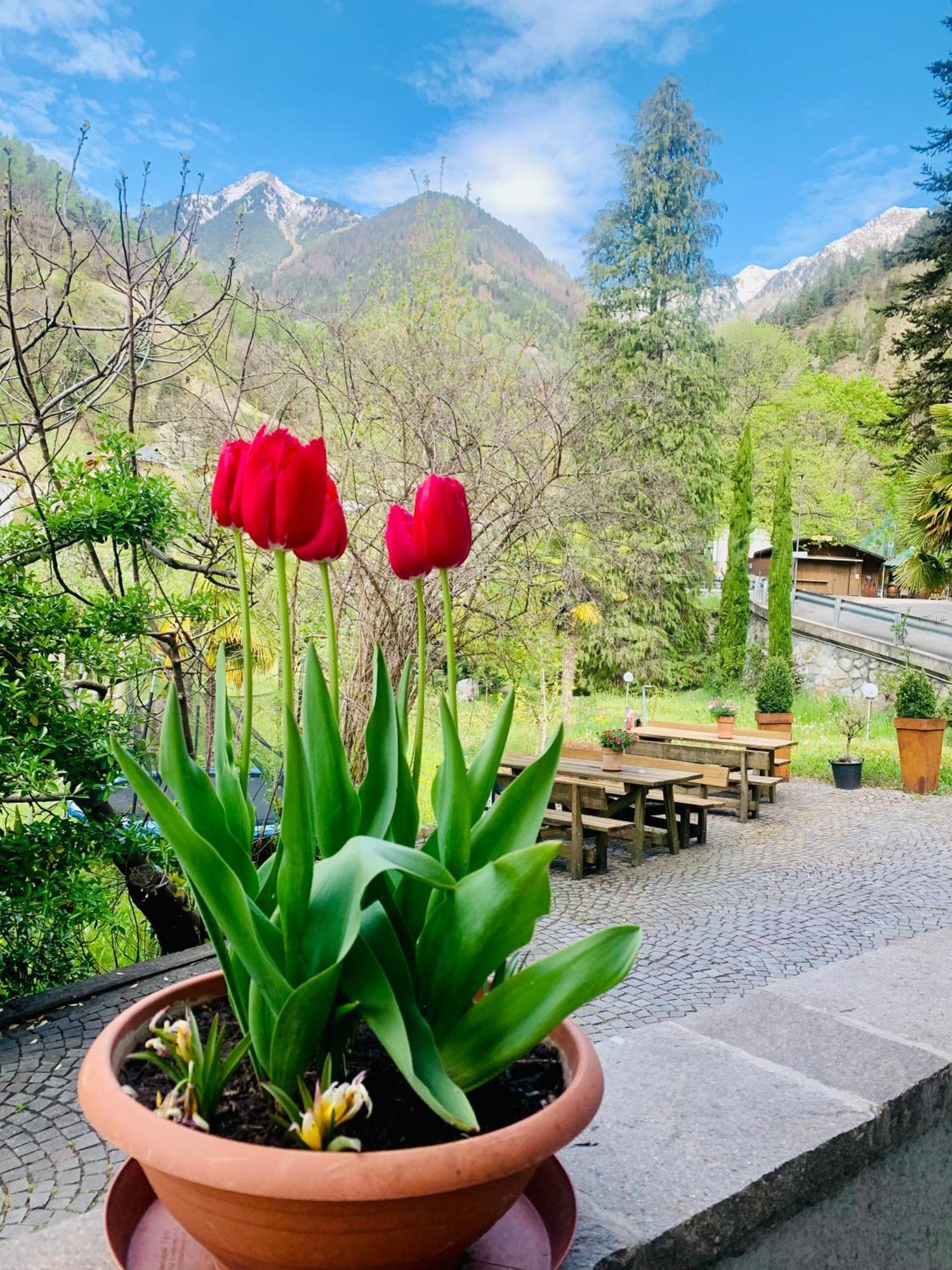 Tannerhof Bed&Breakfast Kuens Exterior foto