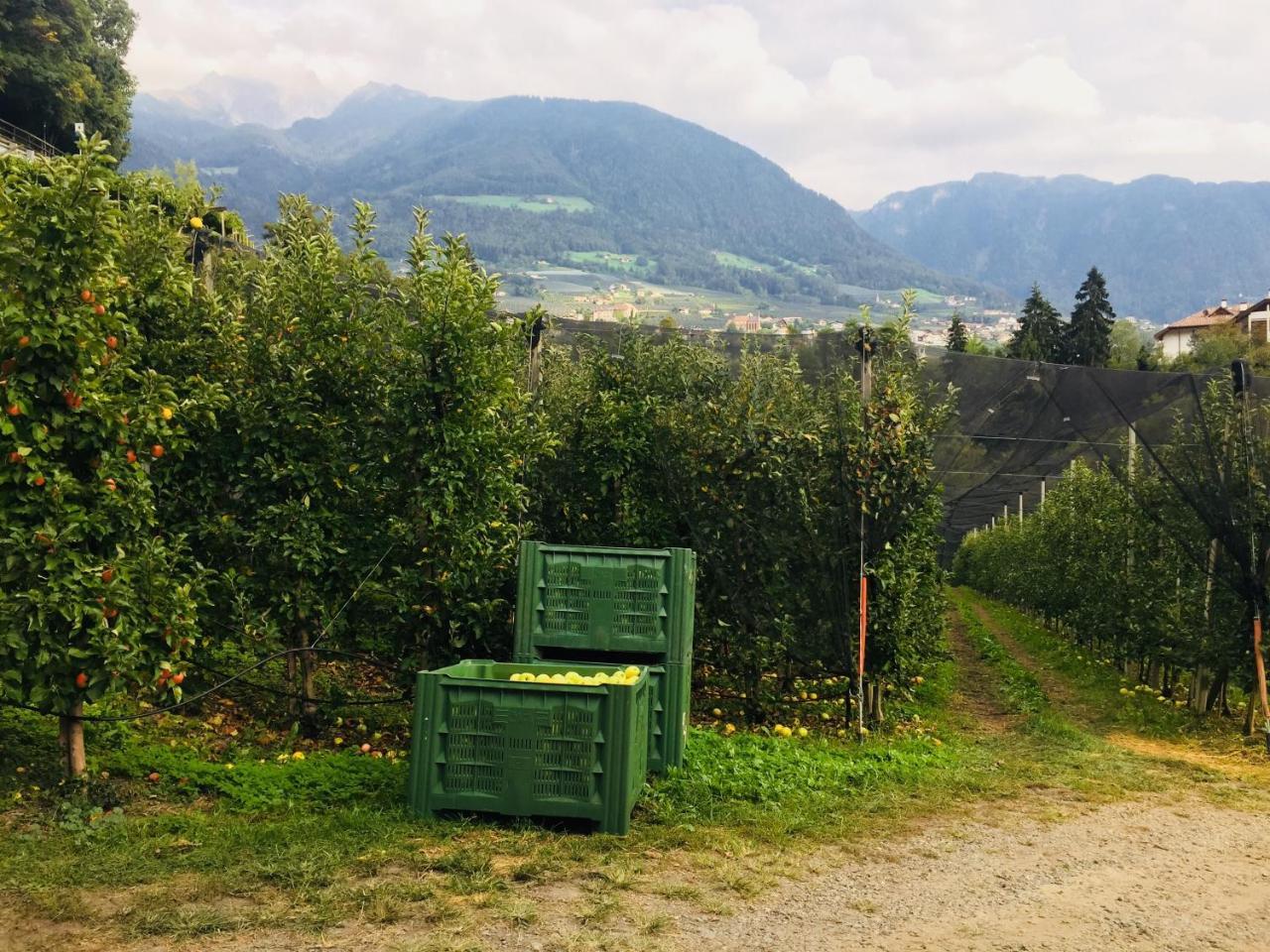 Tannerhof Bed&Breakfast Kuens Exterior foto